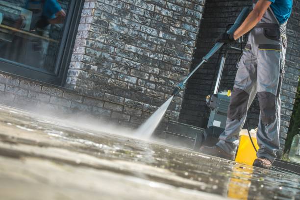 Best Animal Enclosure Cleaning  in Citrus Heights, CA